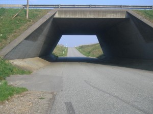 Bavnehojvej