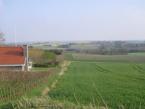 Hvis man ved, at vejen har gået her, kan man stadig ane den. Foto 2007.