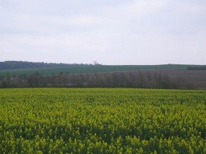 Vindhoj-2
