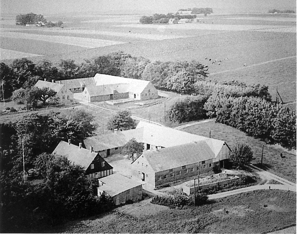 Nyvangsgårdene set mod nordvest omkring 1950.